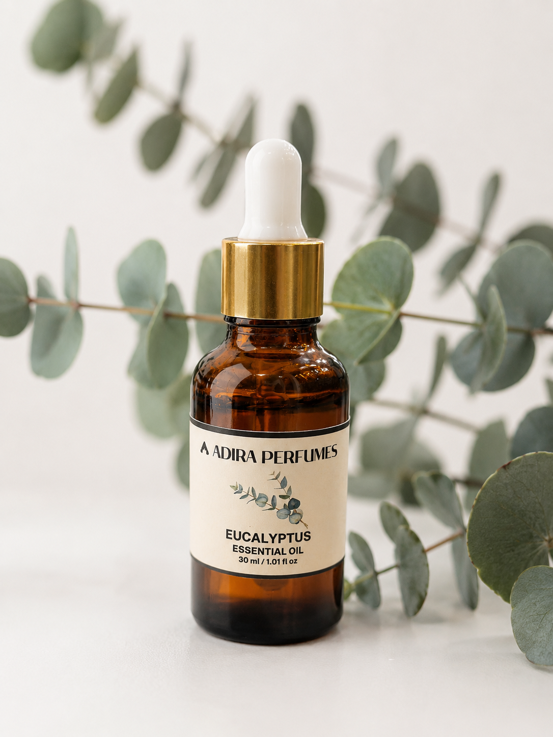 EUCALYPTUS - 1
