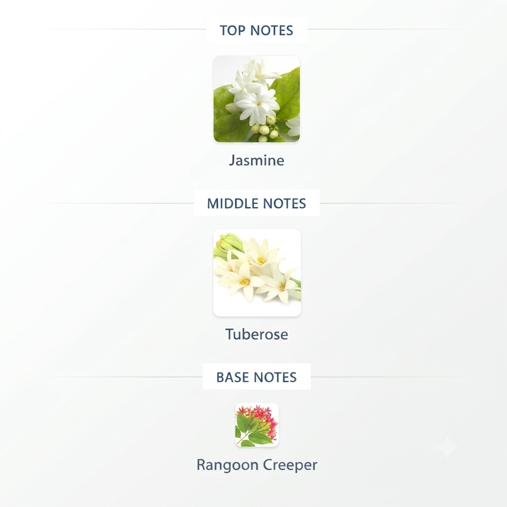 Bloom - 3